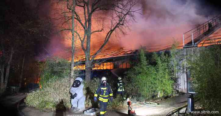 Apes, monkeys among 30 animals killed in German zoo fire