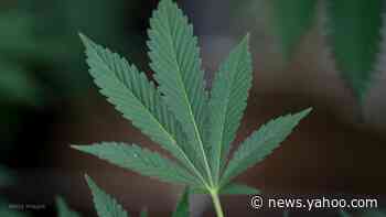 Legal marijuana sales may spark Midwest tension