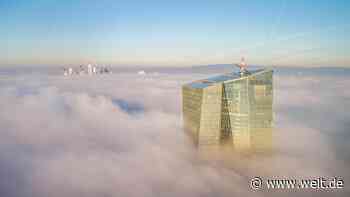 Mit ihrer Inkonsequenz retten die Deutschen ihr Geld