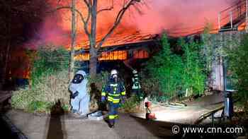 Fire at German zoo kills scores of animals
