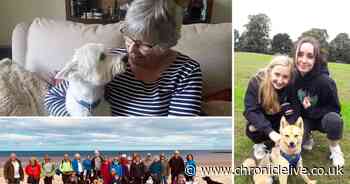 Love dogs but can't have a full-time pet? You could host one for a 'holiday'