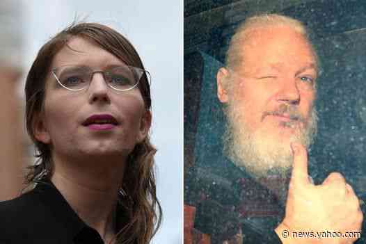 WikiLeaks: UN official accuses UK and US of torture over treatment of Assange and Manning