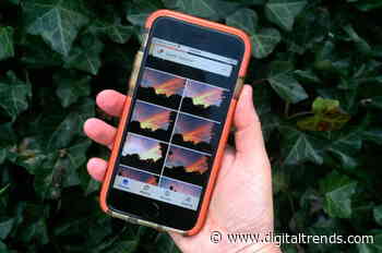 Google Photos: The best tips and tricks