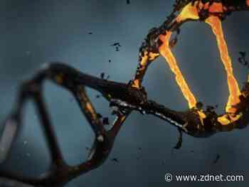 Test tube DNA computer calculates the square root of 900