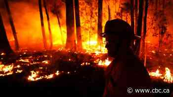 'Hell on Earth': Australian wildfires force thousands to flee ahead of worsening conditions