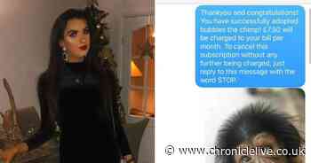 Newcastle student achieves 'troll level one million' with prank on man who gave her his number