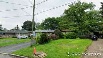 Torontonians could pay nearly $1 million to save one of the city's oldest trees