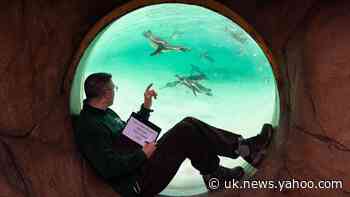 London Zoo begins annual animal stocktake