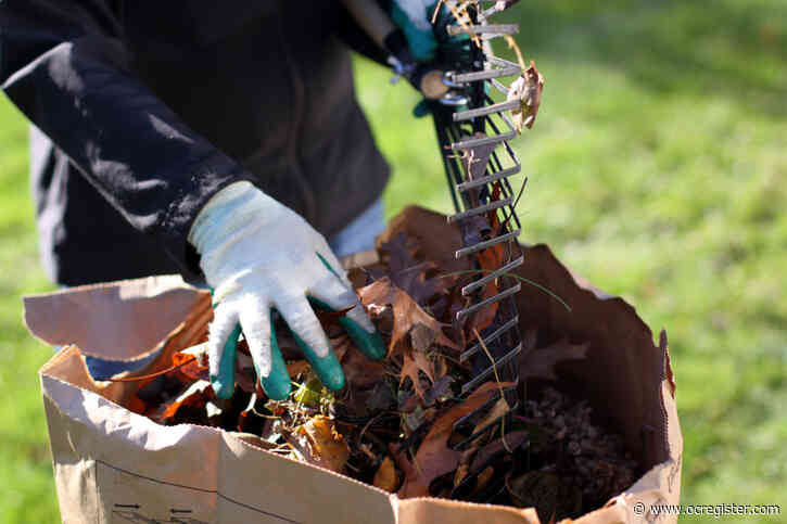 Master Gardener: What to do to your garden in the winter