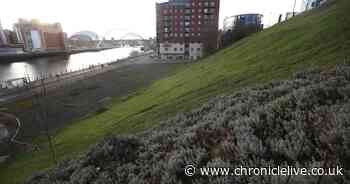 Bid to develop last piece of Newcastle Quayside with plans for almost 300 flats