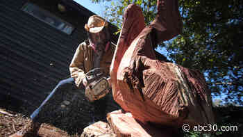 This man in Alvin turned his love of chainsaws into art!