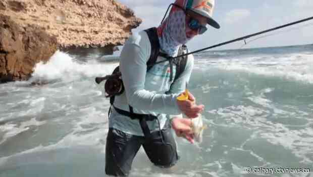 Fly fishing documentary by Calgary guides set to debut Friday