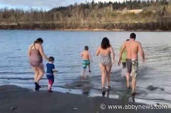 VIDEO: Abbotsford’s Fraser River used for ‘Polar Bear Swim’