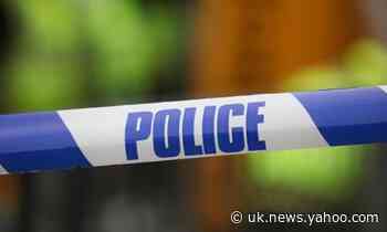 Man arrested after mother stabbed in front of child in Streatham