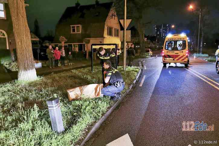 Vrouw met hondje aangereden in Wageningen, hondje overleeft aanrijding niet