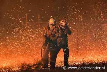 Buitenlandse Zaken past reisadvies Australië aan: ‘ga niet naar Sydney’