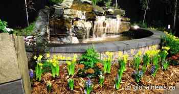 2020 Home and Garden Show