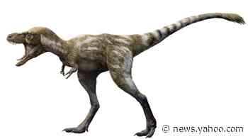 Paleontologists are unraveling the mysteries of young T. rexes. Creatures they thought were 2 species turned out to be kids and adults.