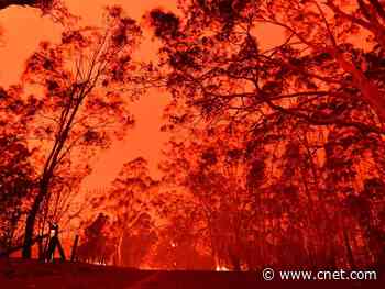 Australian bushfires: Everything we know and how you can help     - CNET