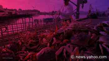 5 crew members feared dead after fishing boat sinks