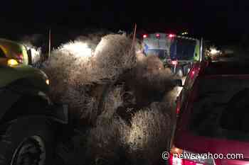 Cars get trapped in tumbleweeds on Washington state highway