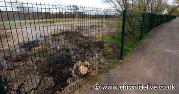 Underground fires at Clara Vale still burning five years on and there is no end in sight