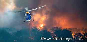 Australian bushfires: Death toll continues to rise