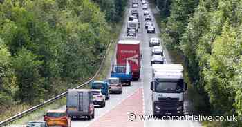 PM's aide says he'll get A1 dualled 'in record time' as he calls for 'weirdos' to work in Government