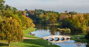 500 people could walk naked in park so people don't have a stroke