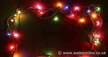 Bargain Pringles hack that stops Christmas lights getting tangled labelled 'genius'