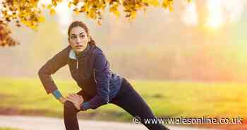 8 ways to achieve your New Year's fitness resolution without paying for a gym