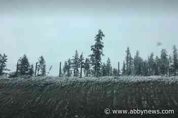Much of B.C. under weather warnings as winter storm touches down on south coast