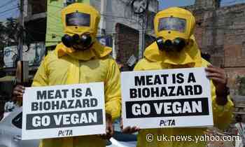 After tribunal's ethical veganism ruling, what is a protected belief?