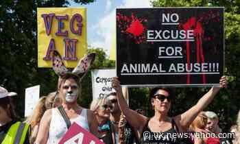 After tribunal's ethical veganism ruling, what is a protected belief?