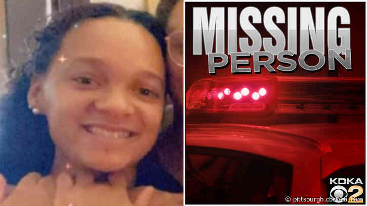 Search For Missing 22-Year-Old Tonee Turner Leads Friends, Family To Hill District