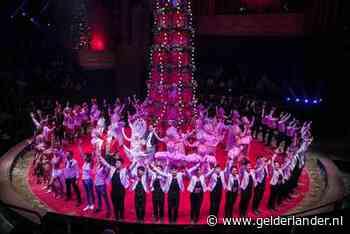 Circusartiest bewusteloos na val uit nok Carré Amsterdam