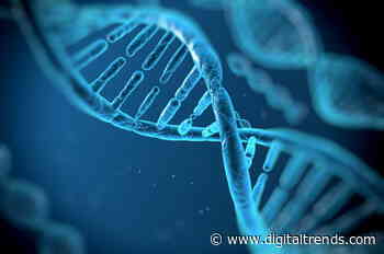 New DNA computer can do some impressive square root calculations
