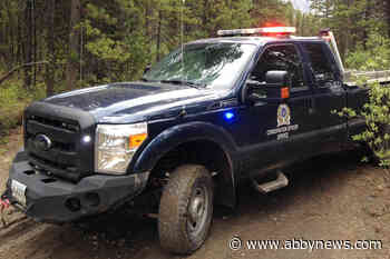 Wildlife group wants body cams on B.C. conservation officers after 4,300 bears killed in 8 years