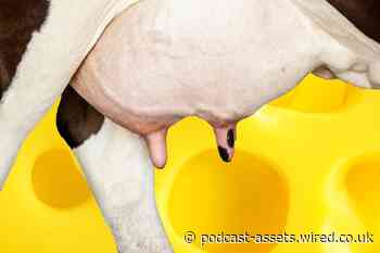 How to win at Veganuary