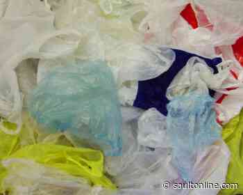 Should the City Eliminate Plastic Bags?