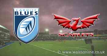 Cardiff Blues v Scarlets live updates: Latest score and all the action from the Welsh derby