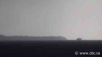 Ferries cancelled as winter storm brings high winds to B.C.'s South Coast, snow inland