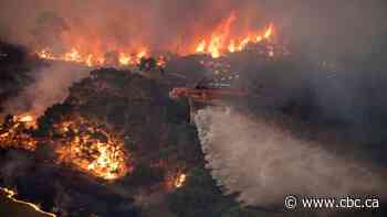 Australian living in Alberta struggles, watching wildfire destruction from afar
