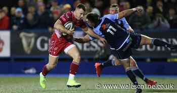 Cardiff Blues 14-16 Scarlets match report: Brad Mooar's side come out on top after rip-roaring Welsh derby