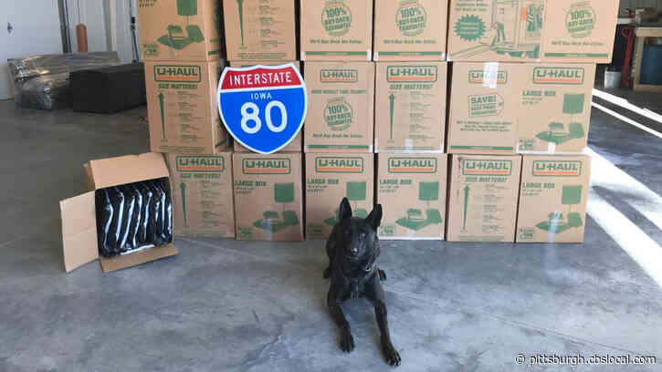 Police Dog Sniffs Out 1,500 Pounds Of Marijuana During Routine Traffic Stop