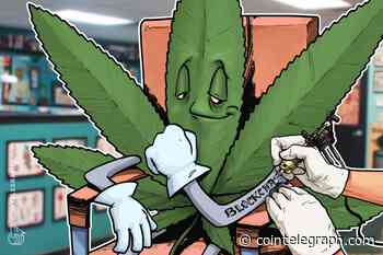 StrainSecure Seed-to-Sale Blockchain Cannabis Tracker Is a Gamechanger