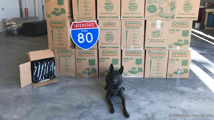Police Dog Sniffs Out 1,500 Pounds Of Marijuana During Routine Traffic Stop