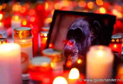 Simulatie moet uitsluitsel geven over toedracht van rampzalige brand in Duitse dierentuin