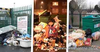 The ugly side of Christmas - the horrific pictures of things dumped around Wales