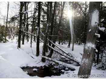 Science of winter: Canada is coldest when Earth is closest to the sun